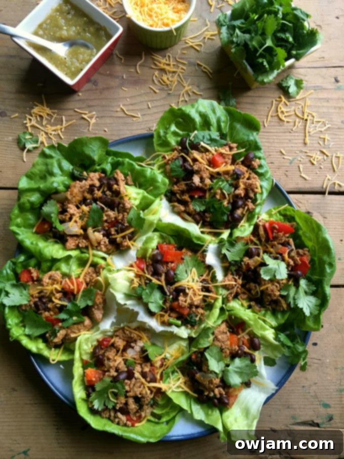Delicious Mexican Turkey Lettuce Wraps arranged on a platter.