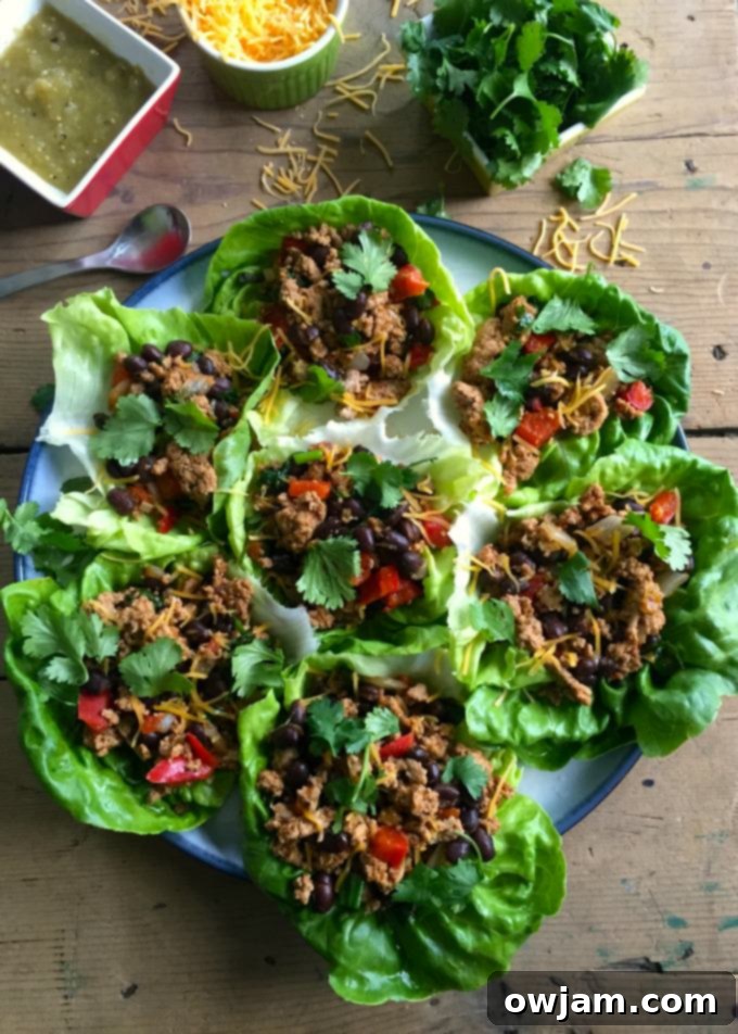 Several finished Mexican Turkey Lettuce Wraps ready to be served.