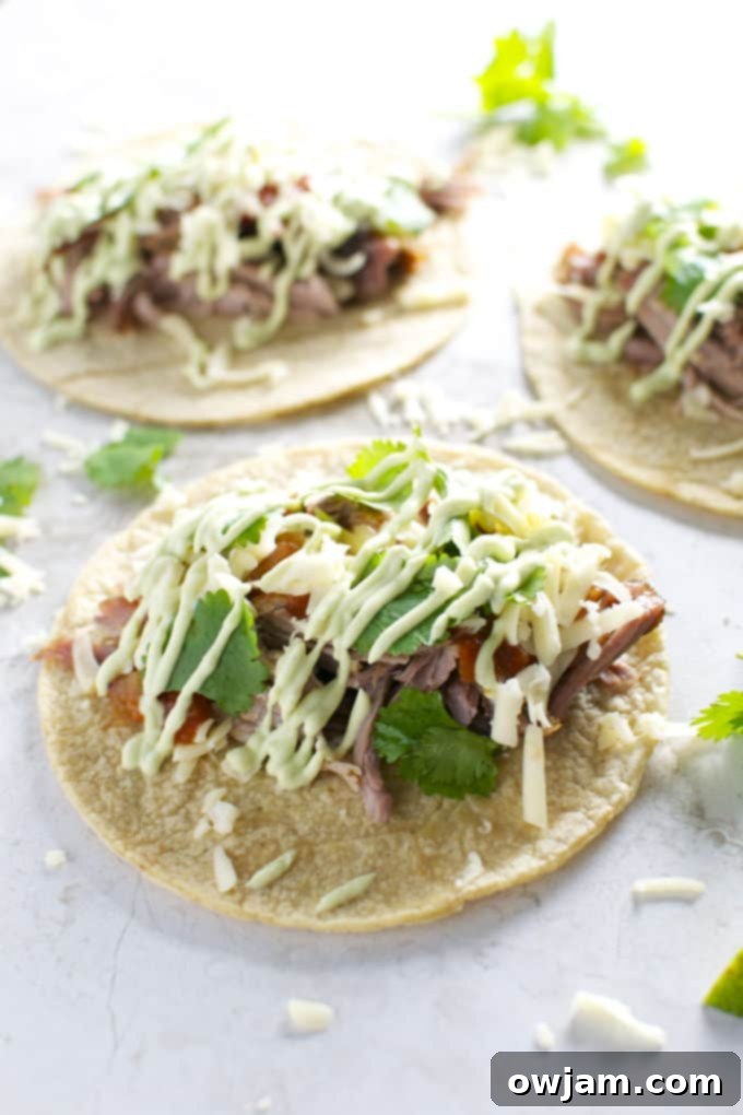Succulent pork tacos with vibrant toppings