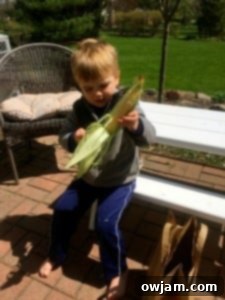 Close-up of a child's hands husking corn