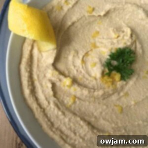 Zesty Lemon Hummus 6 Lemon Hummus in bowl, overhead shot