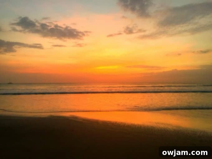 Beach sunset with silhouetted palm trees