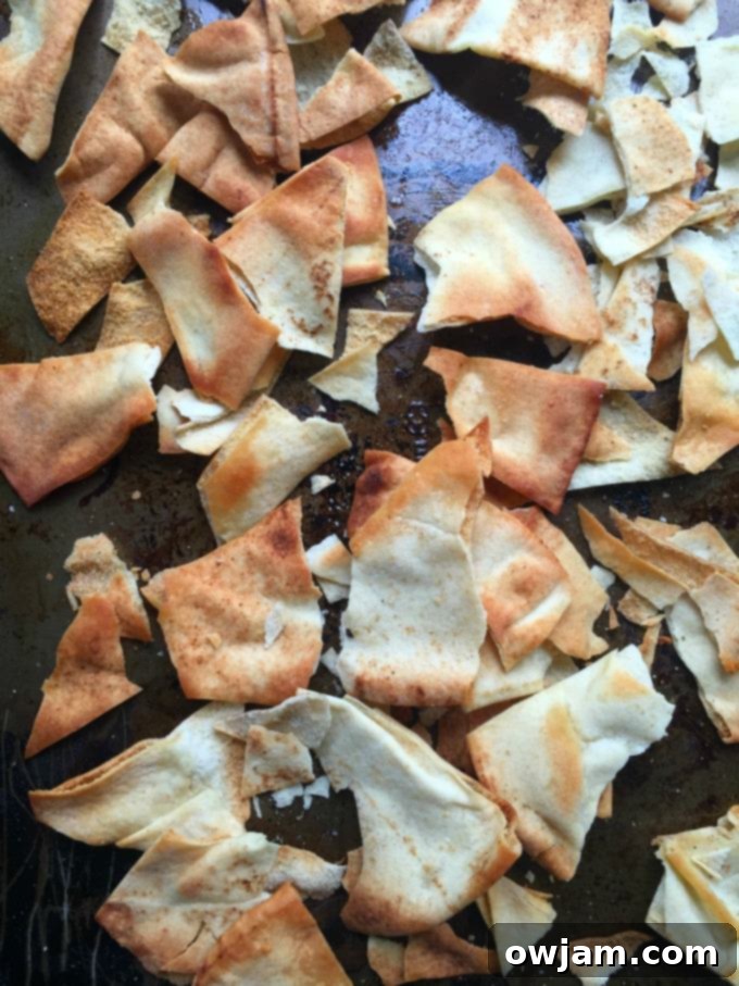 Golden Homemade Pita Crisps 4 Homemade Baked Pita Chips
