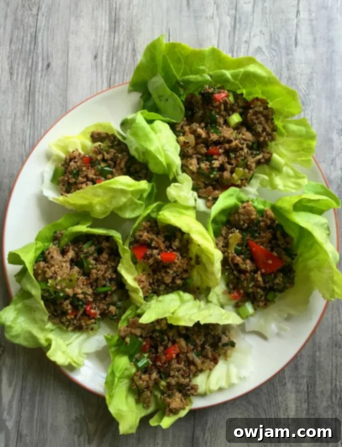 Vibrant Thai Turkey Quinoa Lettuce Wraps 2 Thai Turkey Quinoa Lettuce Wraps - yum