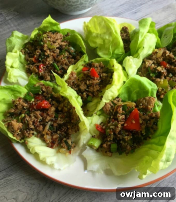 Vibrant Thai Turkey Quinoa Lettuce Wraps 4 Thai Turkey Quinoa Lettuce Wraps - healthy dinner