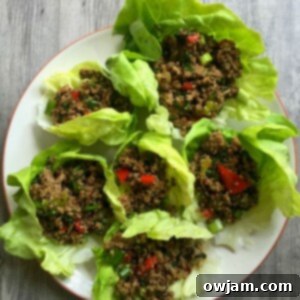 Vibrant Thai Turkey Quinoa Lettuce Wraps 5 Thai Turkey Quinoa Lettuce Wraps