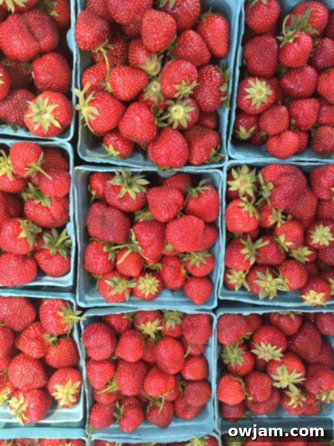 Pints of vibrant red, fresh strawberries at a farmer's market.