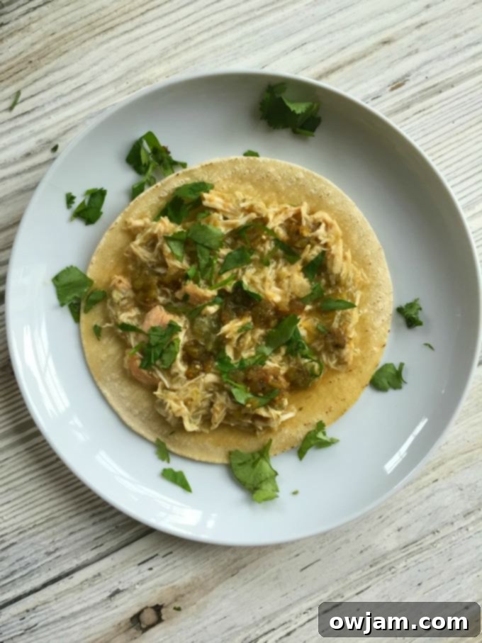 Close-up of shredded Slow Cooker Salsa Verde Chicken Tacos filling.