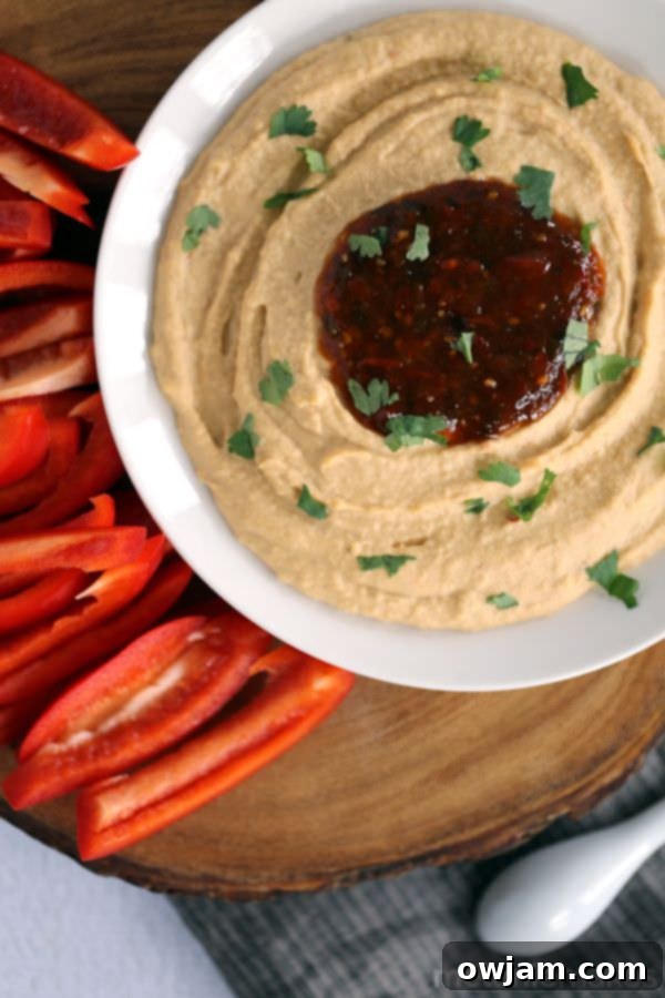 Chili Cilantro Blender Hummus, a vibrant and spicy dip