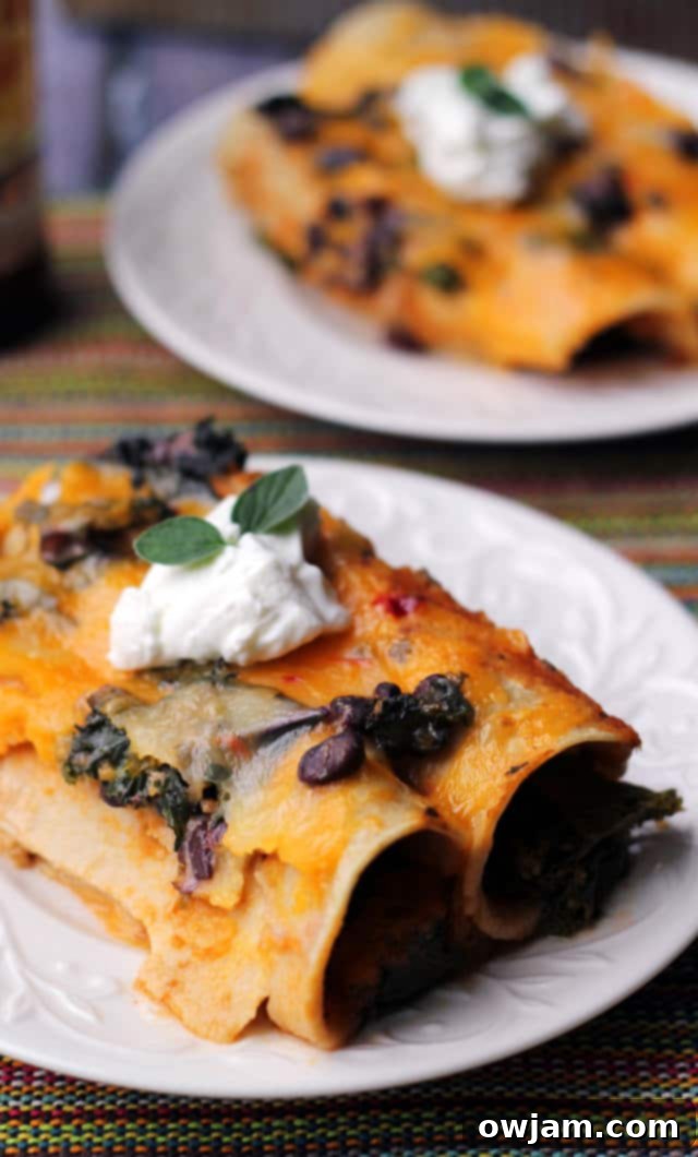 Black Bean and Kale Enchiladas with Ranchero Sauce