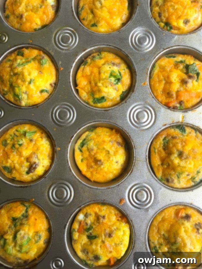 Morning Taco Egg Bites 4 Southwest Taco Egg Muffins