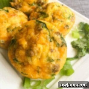 Morning Taco Egg Bites 5 Southwestern Taco Egg Muffins on a white platter