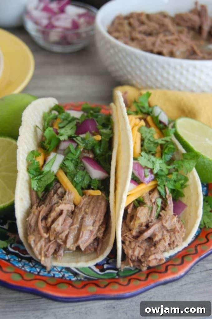 Flavorful Slow Cooker Shredded Beef Tacos 4 Slow Cooker Shredded Beef Tacos topped with melted cheese, ready for more toppings.