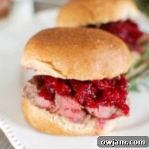 Juicy Beef Tenderloin Sliders with Zesty Cranberry Orange Relish 7 Beef Tenderloin Sliders with Cranberry Orange Relish