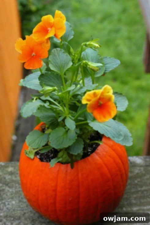 Pumpkin Flower Pot - Elegant Fall Centerpiece Idea
