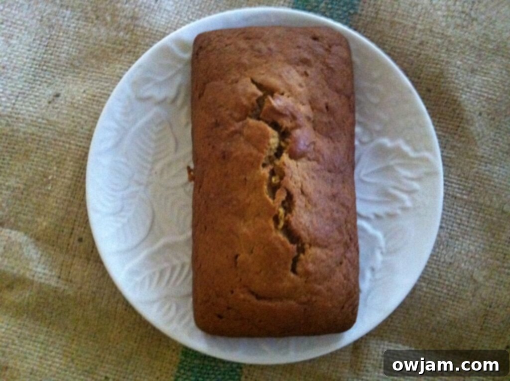Warm, Freshly Baked Loaf of Pumpkin Bread