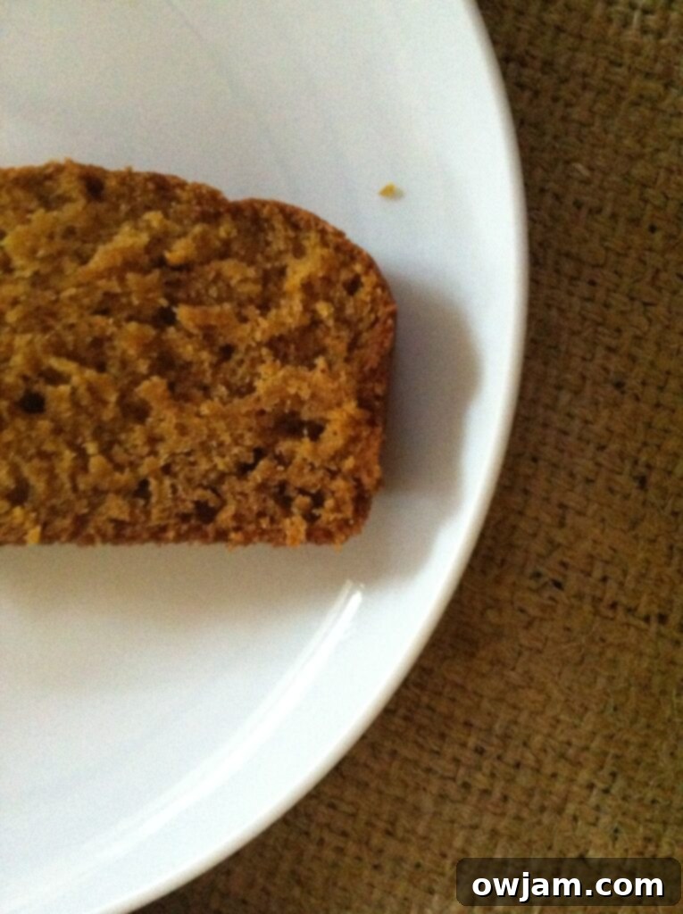 Close-up of a Moist Slice of Pumpkin Bread