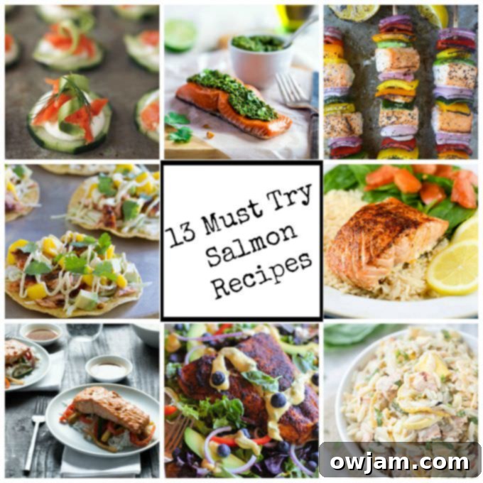 Collage of 13 Must Try Salmon Recipes showing various dishes