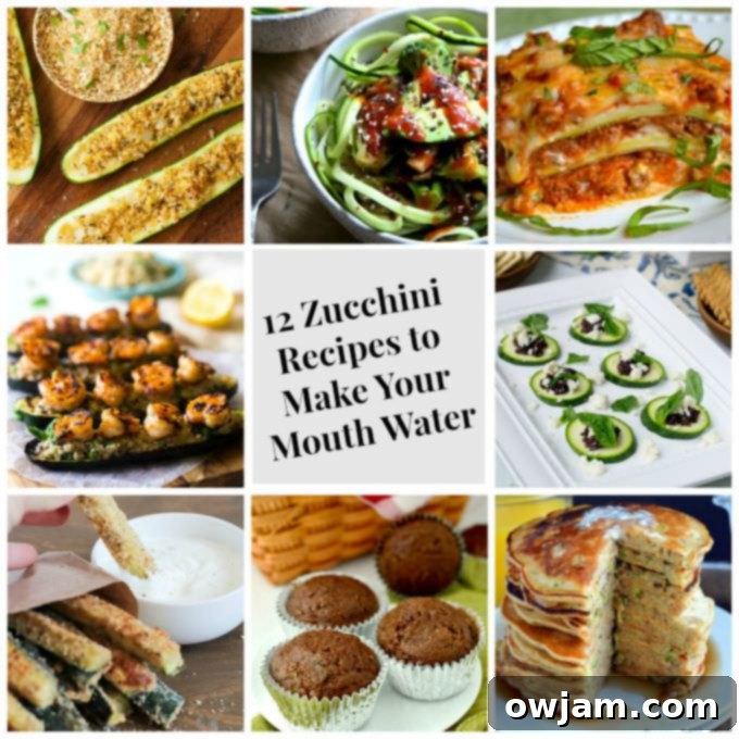 12 Mouthwatering Zucchini Recipes 2 Collage of 12 delicious zucchini recipes, showcasing sweet and savory dishes like muffins, fries, and stir-fries.