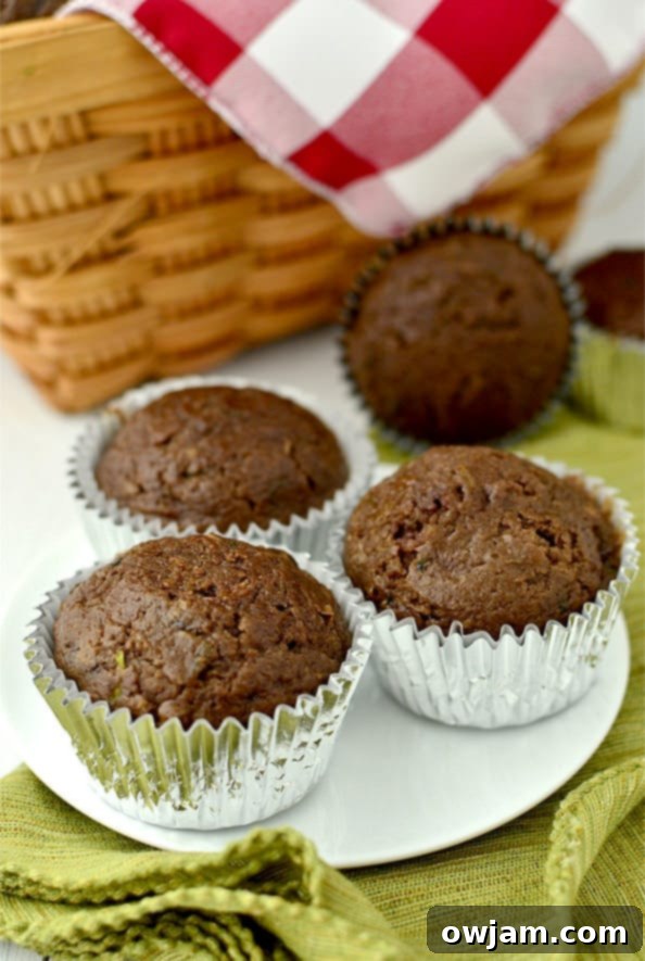 12 Mouthwatering Zucchini Recipes 6 Moist and delicious healthier double chocolate zucchini muffins.