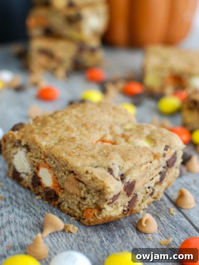 Loaded Monster Cookie Bars 3 Close-up of Monster Cookie Bars with M&M's