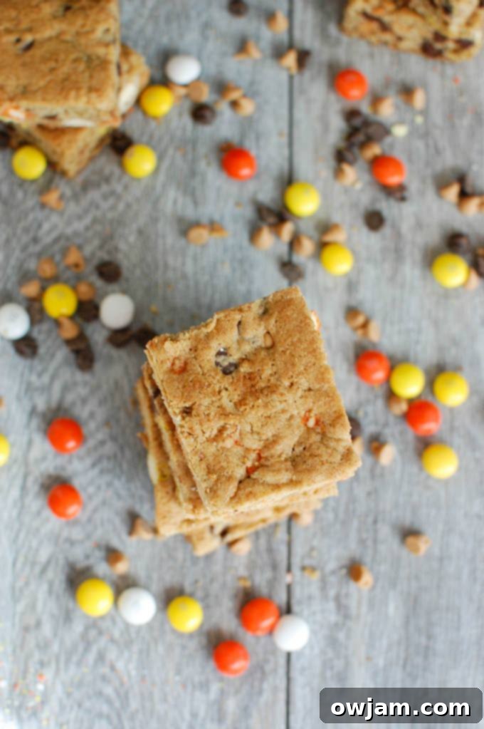Loaded Monster Cookie Bars 4 Individual Monster Cookie Bars ready to serve