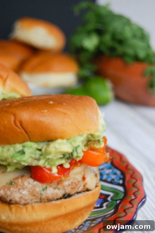 Ingredients for Sweet and Spicy Turkey Burgers laid out