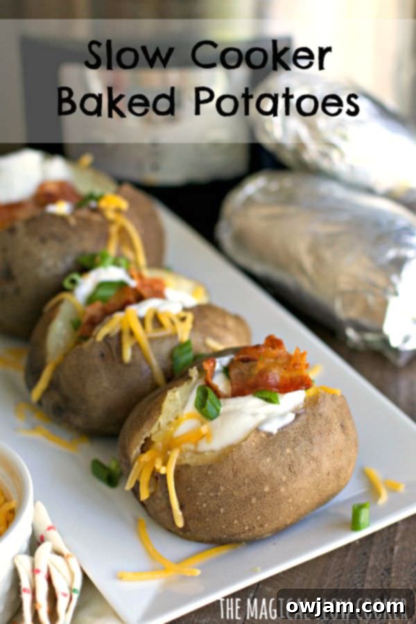 Perfectly cooked slow cooker baked potatoes, ready to be topped and served.