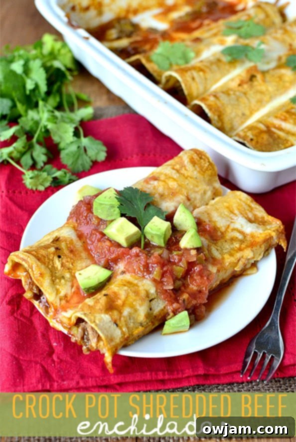 Plates of crockpot shredded beef enchiladas, topped with fresh cilantro and a dollop of sour cream.