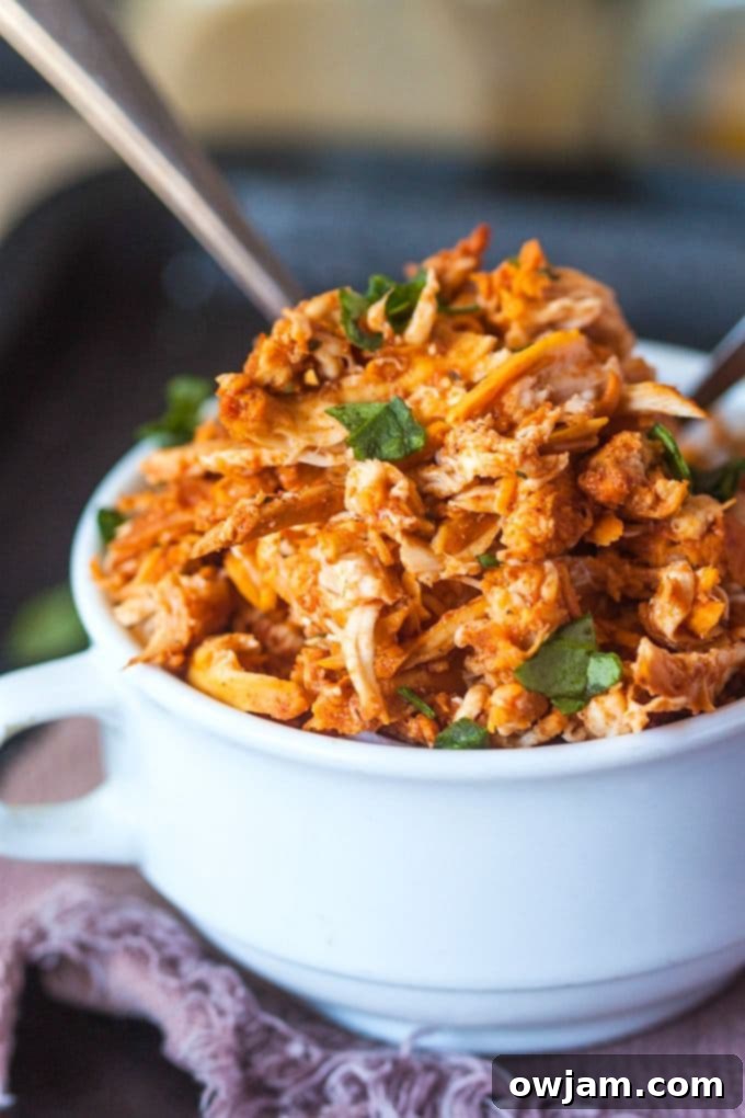 Close-up of pulled tandoori chicken, garnished with fresh cilantro, ready to be served.