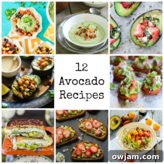 A vibrant collage of 12 diverse avocado recipes including soups, salads, and main dishes, highlighting the versatility of this superfood.