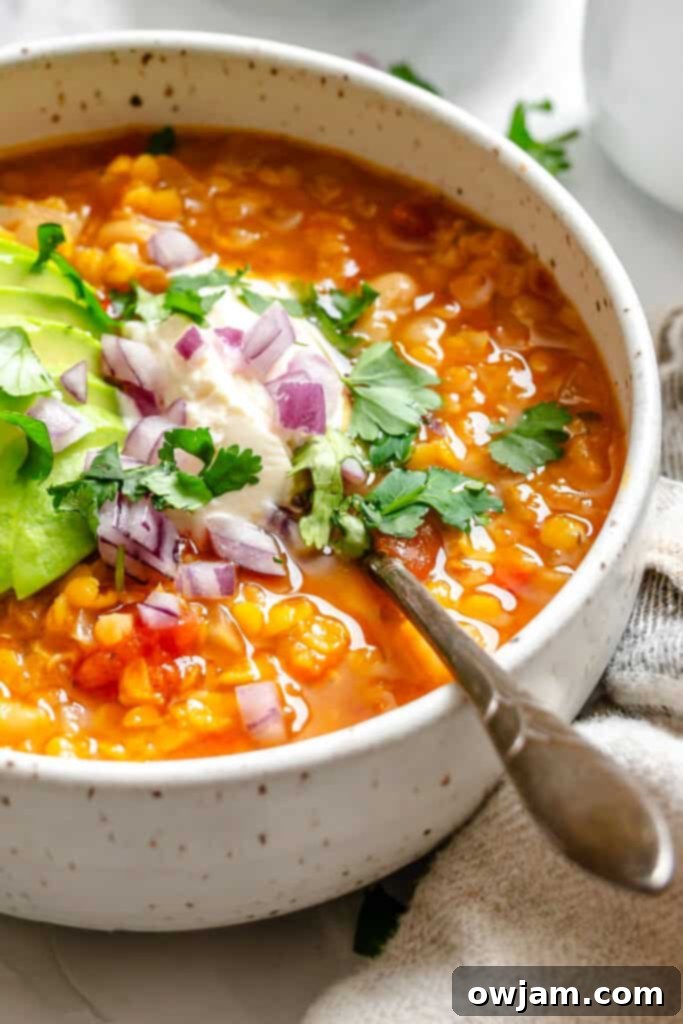 Hearty Lentil Chili 2 Lentil Bean Chili with spoon