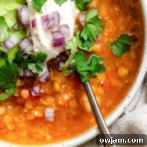 Hearty Lentil Chili 9 img 17148 8
