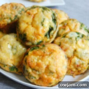Vegetarian Breakfast Egg Muffins - easy