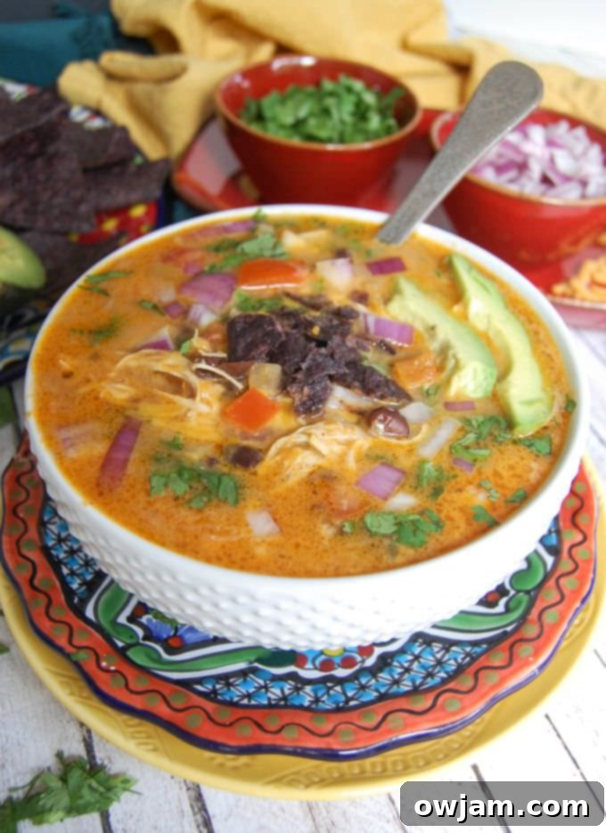 A close-up of a steaming bowl of Slow Cooker Mexican Cheesy Chicken Soup, generously topped with fresh cilantro and a dollop of sour cream, ready to be enjoyed.