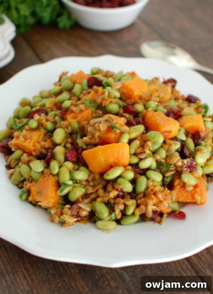 Golden Harvest Wheat Berry Delight 3 Wheat Berries with Butternut Squash, Edamame and Cranberries - so good and full of flavor