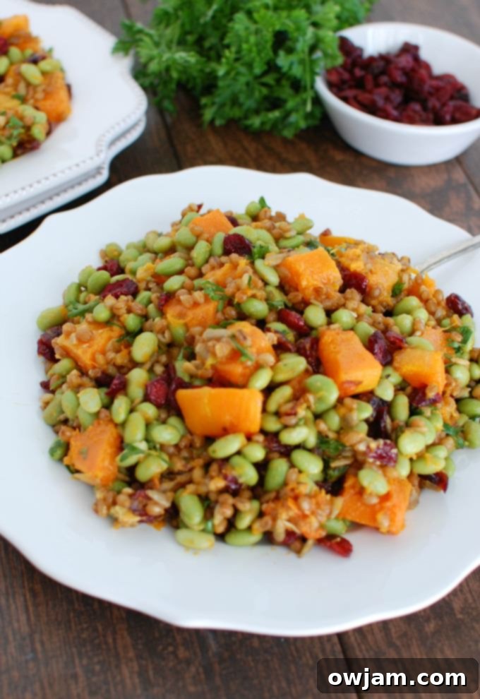 Golden Harvest Wheat Berry Delight 4 Wheat Berries with Butternut Squash, Edamame and Cranberries - a delicious and colorful side dish