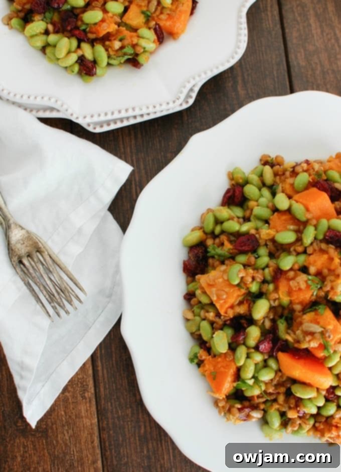 Golden Harvest Wheat Berry Delight 5 Wheat Berries with Butternut Squash, Edamame and Cranberries - perfect for a healthy lunch or dinner