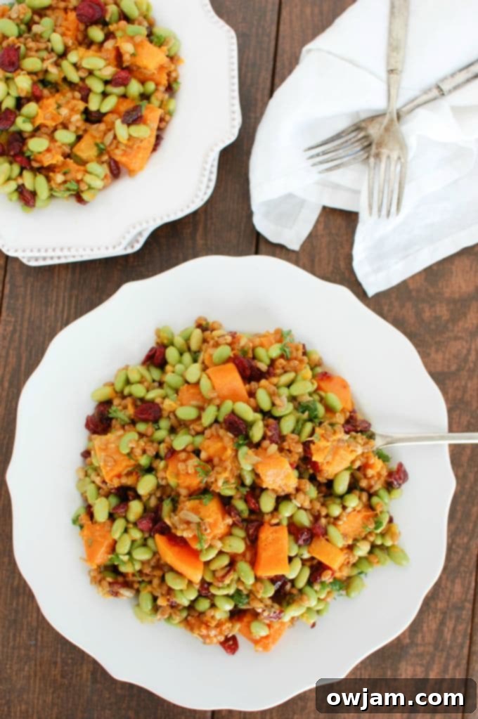 Golden Harvest Wheat Berry Delight 6 Wheat Berries with Butternut Squash, Edamame and Cranberries - a healthy and vibrant addition to your menu