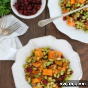 Golden Harvest Wheat Berry Delight 7 Wheat Berries with Butternut Squash, Edamame and Cranberries