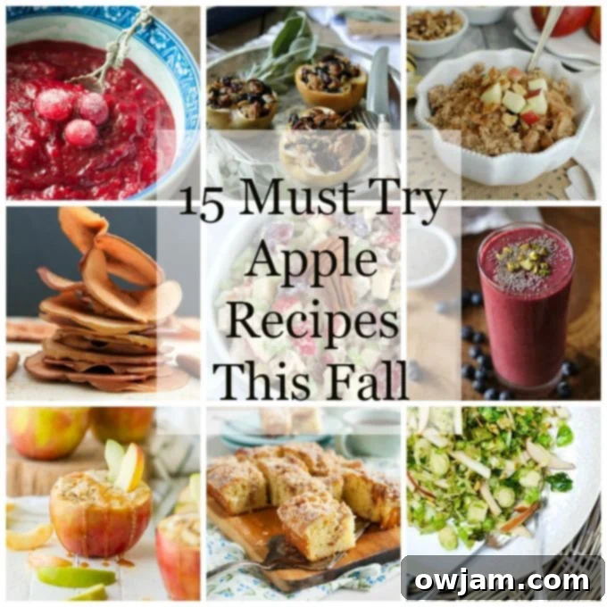Collection of 15 diverse and irresistible apple dishes for fall, including sweet and savory options like pies, salads, chips, and breakfast items, showcasing the versatility of apples in autumn cooking