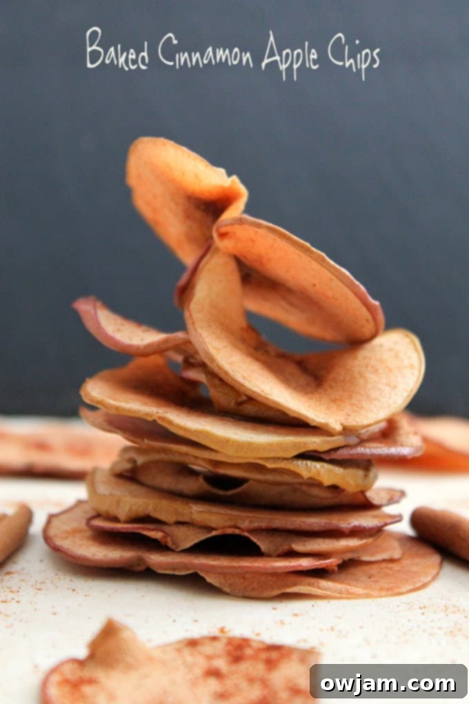 Crispy and healthy Baked Cinnamon Apple Chips, thinly sliced and spiced, a guilt-free sweet snack