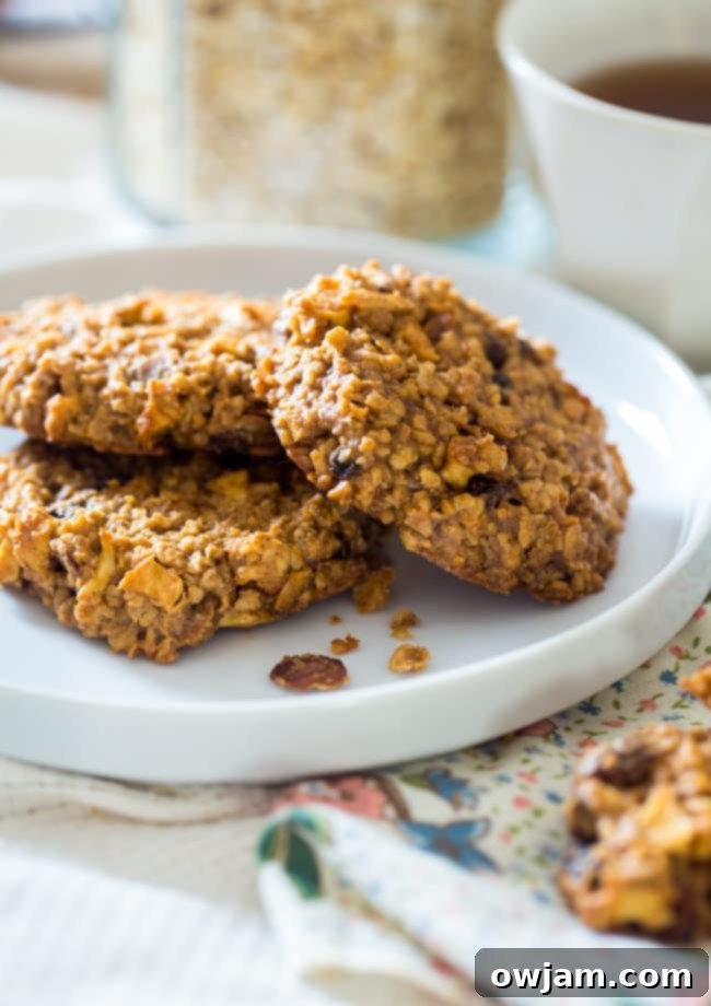 Wholesome Apple Raisin Breakfast Cookies, packed with oats and fruit, ideal for a quick and healthy morning meal