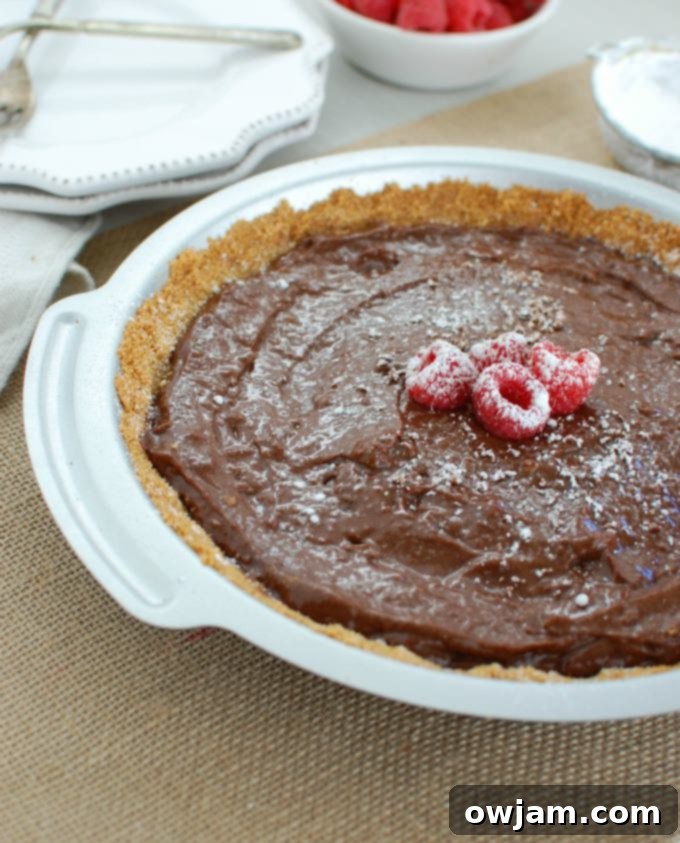 Close-up of Dark Chocolate Raspberry Pie slices