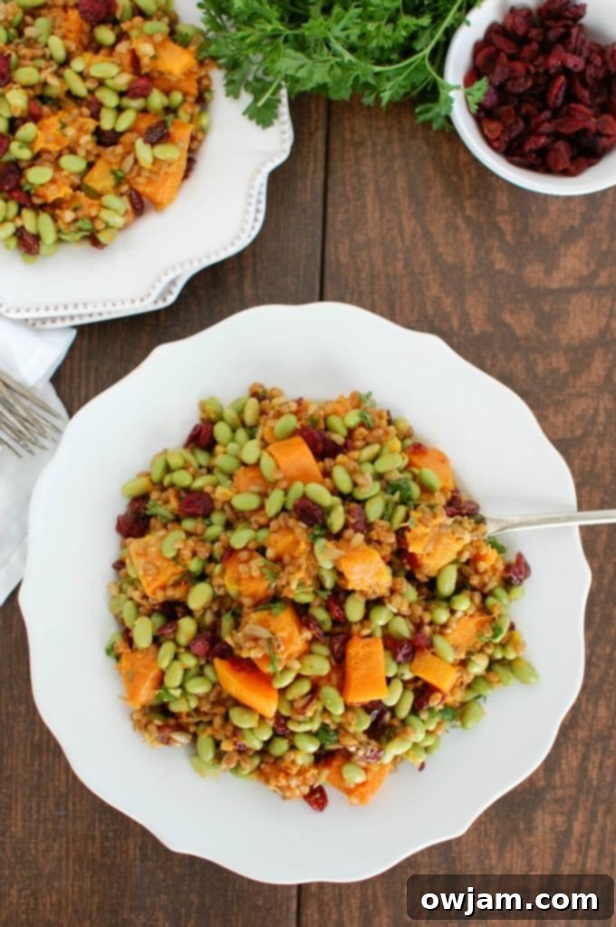 4-Wheat-Berries-with-Butternut-Squash-Edamame-and-Cranberries-3-1-of-1