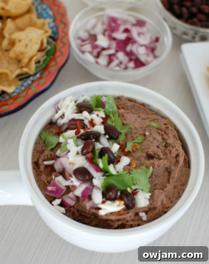 Creamy Black Bean Fresco Dip 4 Black Bean Dip with Queso Fresco