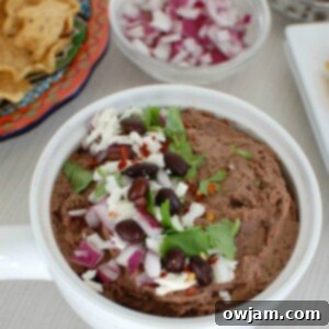 Creamy Black Bean Fresco Dip 6 Black Bean Dip with Queso Fresco