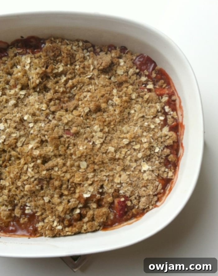 Warm Strawberry Rhubarb Crisp with a golden, buttery oat crumble topping.