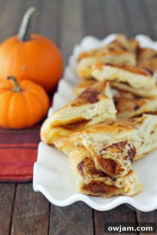 Individual Pumpkin Pie Pastry Pockets, golden brown and lightly dusted with powdered sugar.