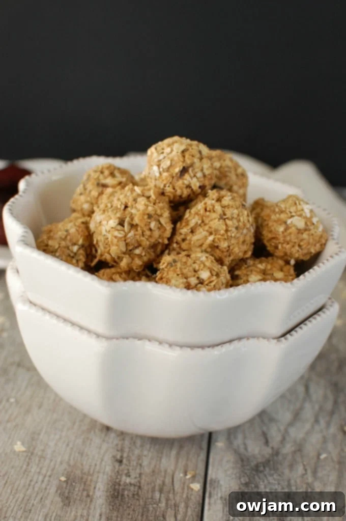 No-Bake Peanut Butter Oat Energy Bites 3 A hand holding a single Peanut Butter Oatmeal No Bake Bite, showing its dense, wholesome texture.